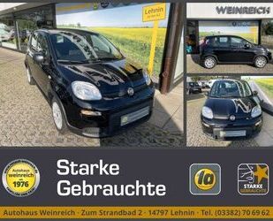 Fiat Panda Gebrauchtwagen