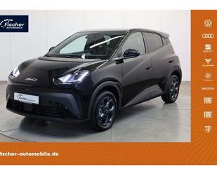 BYD DOLPHIN Gebrauchtwagen