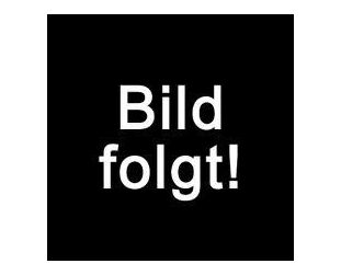 Audi A6 Allroad Gebrauchtwagen