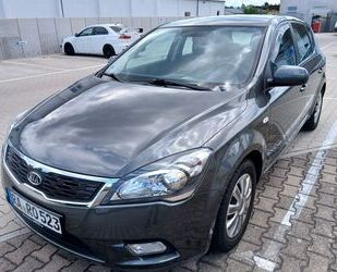 Kia ceed / Ceed Gebrauchtwagen
