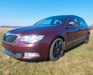 Skoda Superb Gebrauchtwagen