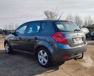 Kia ceed / Ceed Gebrauchtwagen