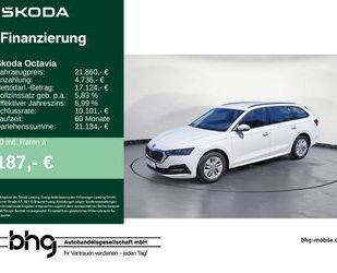 Skoda Octavia Gebrauchtwagen