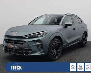 Cupra Terramar Gebrauchtwagen