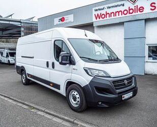 Fiat Ducato Gebrauchtwagen