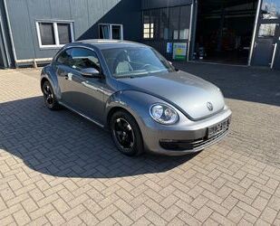 VW Beetle Gebrauchtwagen