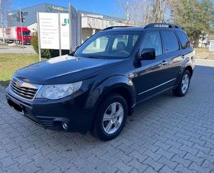 Subaru Forester Gebrauchtwagen
