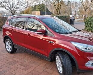 Ford Kuga Gebrauchtwagen