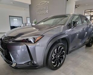 Lexus UX Gebrauchtwagen