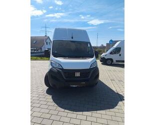 Fiat Ducato Gebrauchtwagen