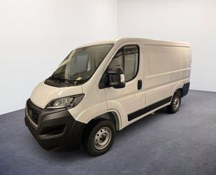 Fiat Ducato Gebrauchtwagen