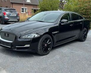 Jaguar XJ Gebrauchtwagen