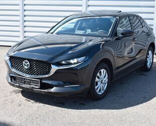 Mazda CX-30 Gebrauchtwagen