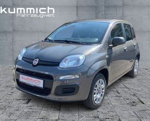 Fiat Panda Gebrauchtwagen