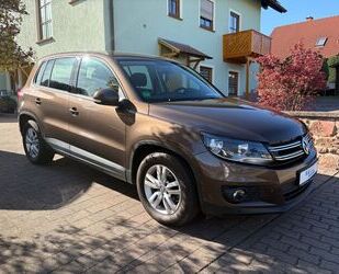 VW Tiguan Gebrauchtwagen