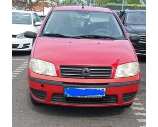 Fiat Punto Gebrauchtwagen