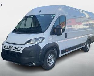Fiat Ducato Gebrauchtwagen