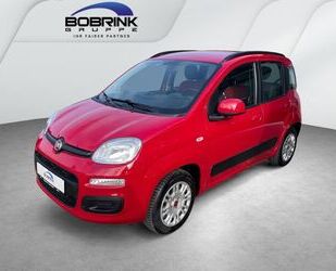 Fiat Panda Gebrauchtwagen