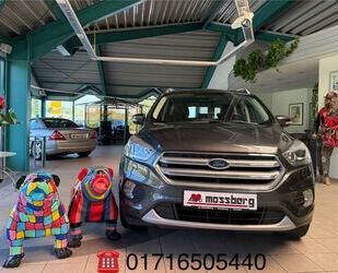 Ford Kuga Gebrauchtwagen