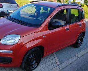Fiat New Panda Gebrauchtwagen