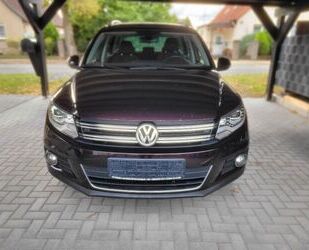 VW Tiguan Gebrauchtwagen