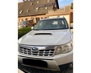Subaru Forester Gebrauchtwagen