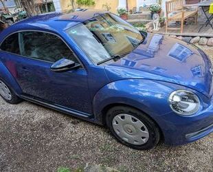 VW Beetle Gebrauchtwagen