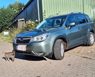 Subaru Forester Gebrauchtwagen