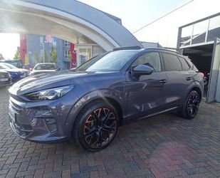 Cupra Terramar Gebrauchtwagen