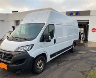 Fiat Ducato Gebrauchtwagen