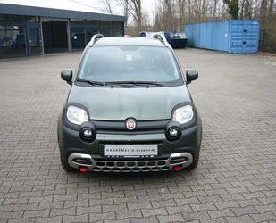 Fiat Panda Gebrauchtwagen