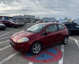 Fiat Punto Gebrauchtwagen