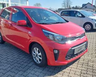 Kia Picanto Gebrauchtwagen