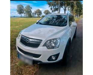 Opel Antara Gebrauchtwagen