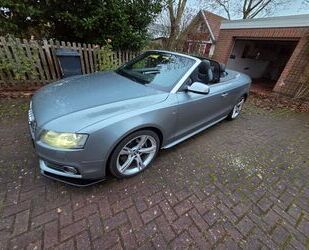 Audi S5 Gebrauchtwagen