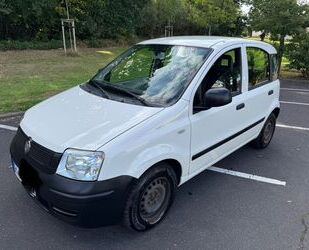 Fiat Panda Gebrauchtwagen
