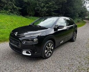 Citroen C4 Cactus Gebrauchtwagen