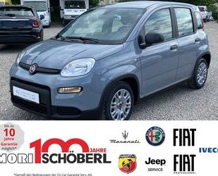 Fiat Panda Gebrauchtwagen