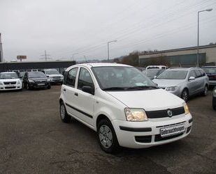 Fiat Panda Gebrauchtwagen
