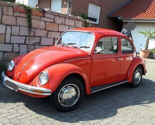VW Käfer Gebrauchtwagen