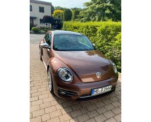 VW Beetle Gebrauchtwagen