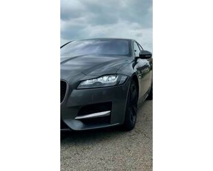 Jaguar XF Gebrauchtwagen