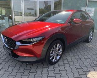 Mazda CX-30 Gebrauchtwagen