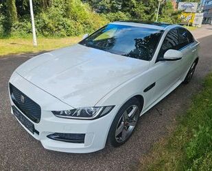 Jaguar XE Gebrauchtwagen