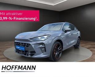 Cupra Terramar Gebrauchtwagen