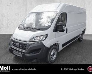 Fiat Ducato Gebrauchtwagen