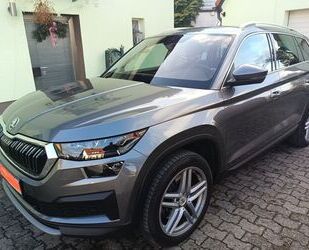 Skoda Kodiaq Gebrauchtwagen
