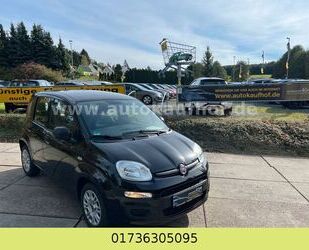Fiat Panda Gebrauchtwagen