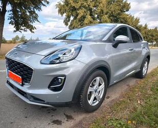 Ford Puma Gebrauchtwagen