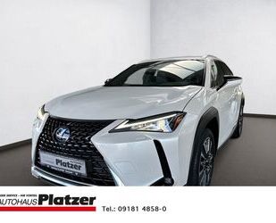 Lexus UX Gebrauchtwagen